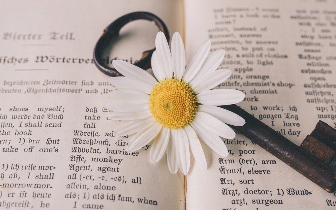 Un poco de vocabulario…. en Inglés