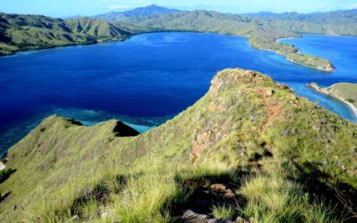 El dragón de Komodo